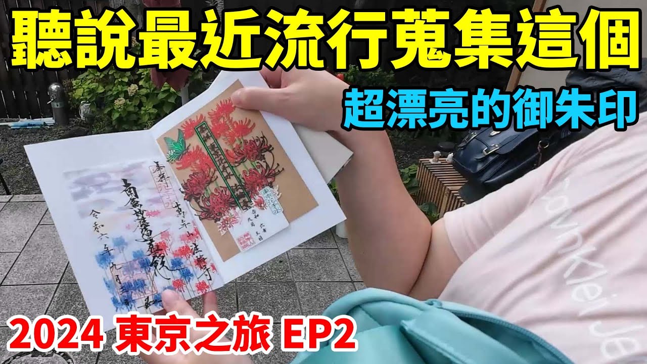 跟羽鵝去買御朱印跟御朱印帳！原來現在流行蒐集這個，先跑一間神社跟一間寺廟！【Day2上】【2024東京之旅EP2】
