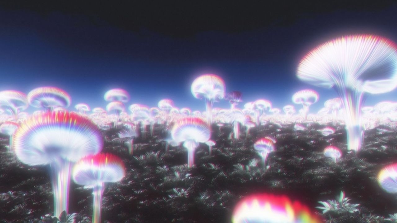 《어느 전생에 두고 온 꿈》