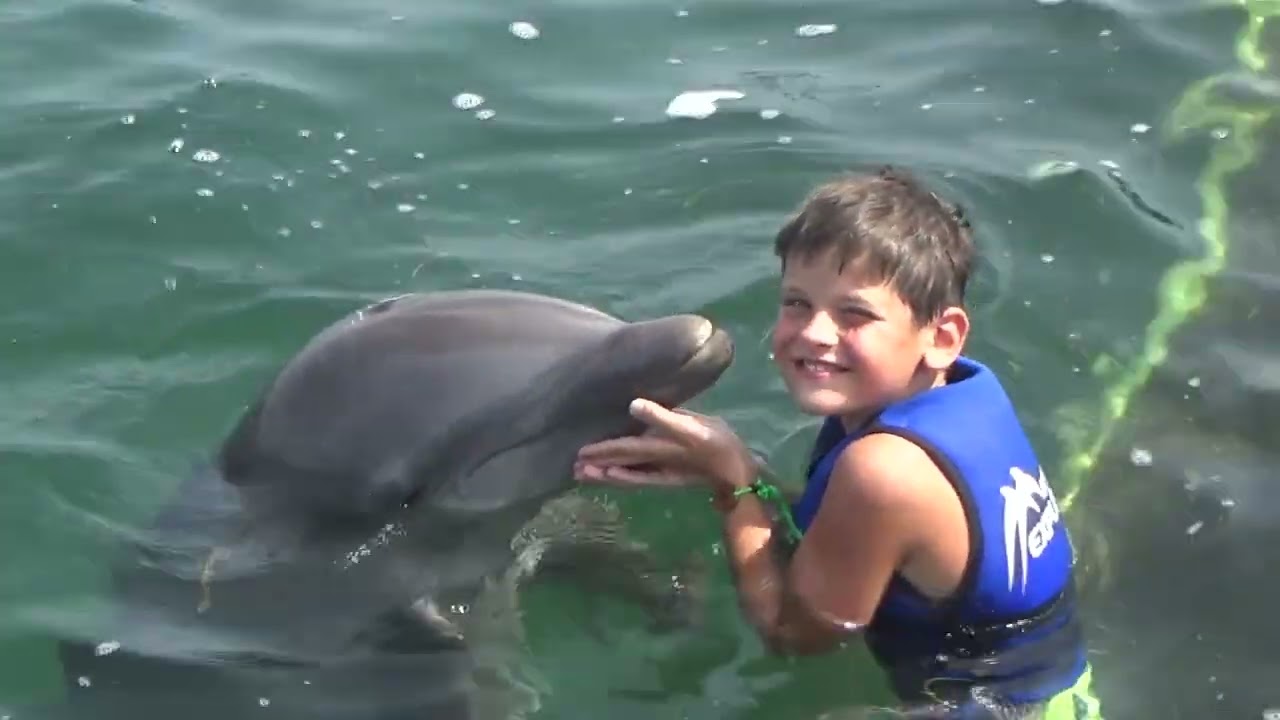Dolphin Explorer punta Cana 2023