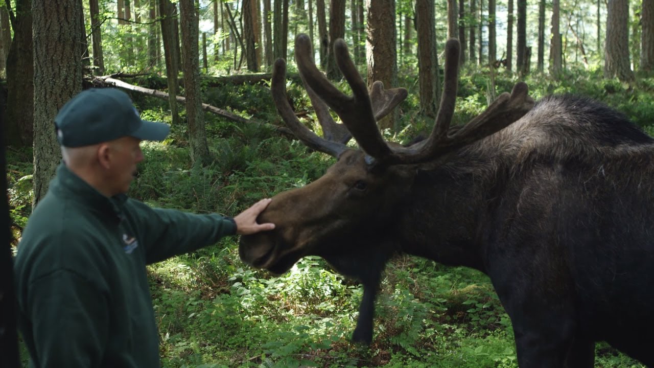 People of Rainier - Animal Keeper Dave Meadows
