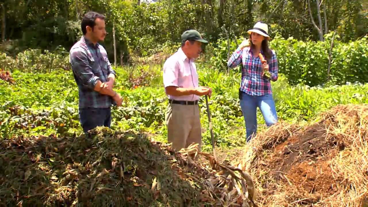 Producciòn agroecológica en Escuela de Campo