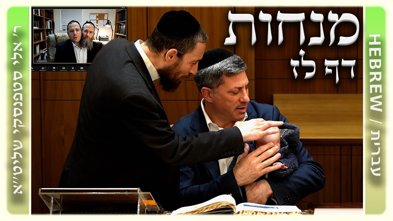 מרכז דף יומי - מנחות דף לז. - ר' אלי סטפנסקי שליט