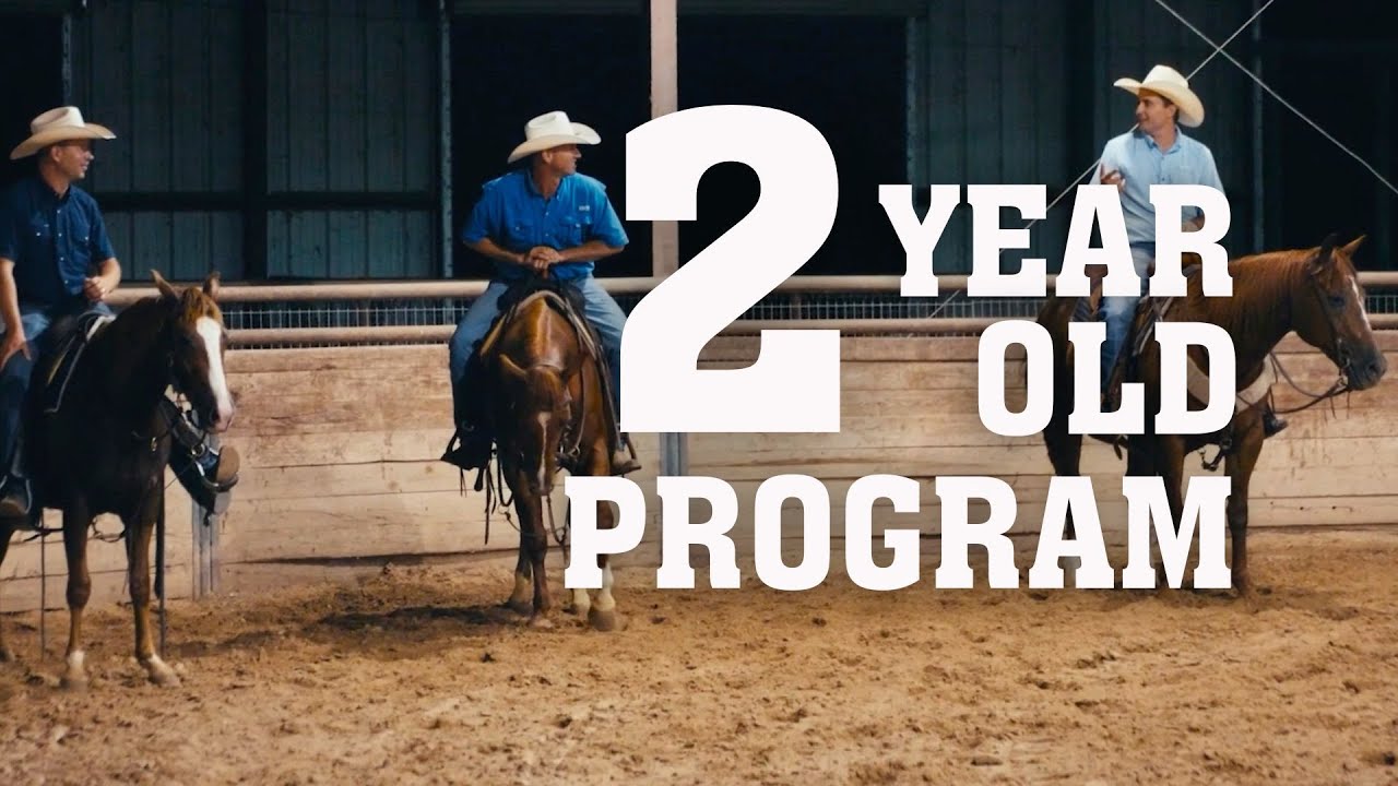 The Foundation of Champions: 2-Year-Old Trainers Spotlight