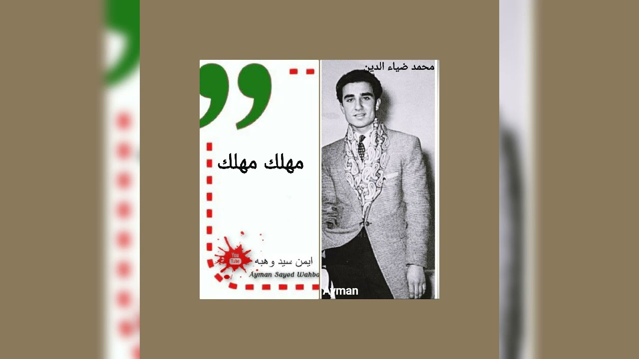 محمد ضياء الدين..مهلك مهلي..