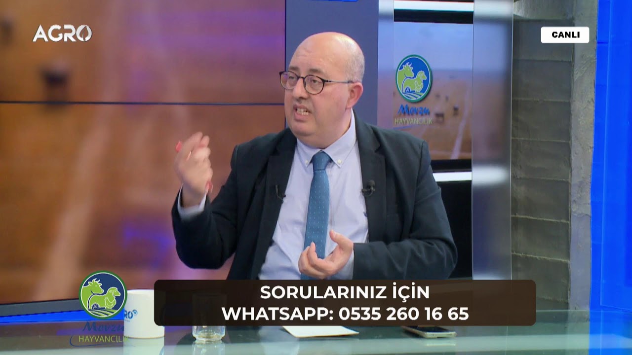 #CANLI MEVZU HAYVANCILIK