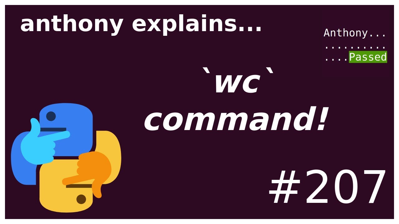 the `wc` command (beginner) anthony explains #207