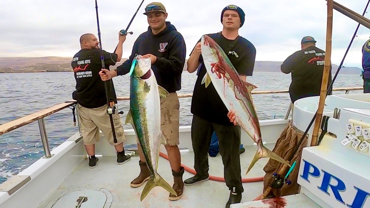 SURFACE IRON YELLOWTAIL FISHING!