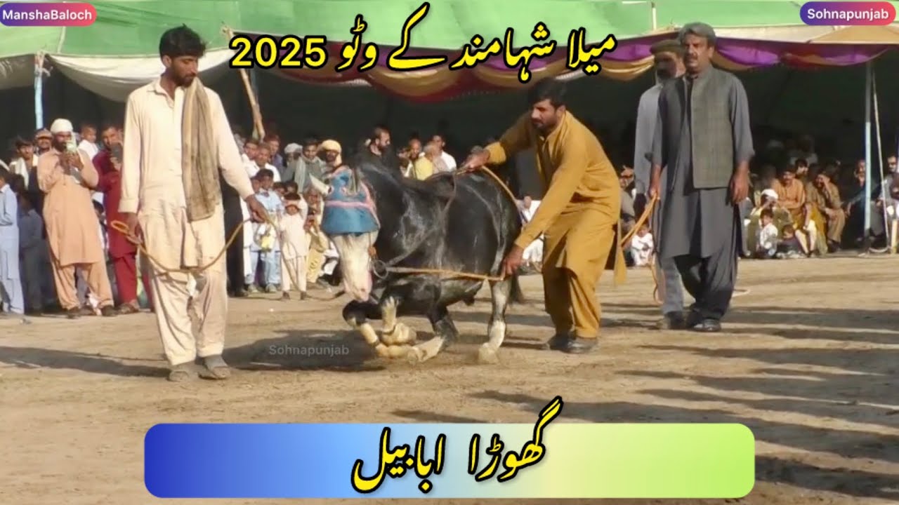 Ghora Ababil || Horse Dance || Mela Shahamad Ke Wattoo 2/3 March 2025