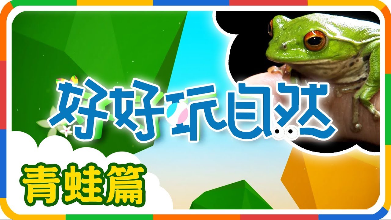 【好好玩自然】呱呱小蛙百科！｜柳丁哥哥 ｜艾氏樹蛙｜翡翠樹蛙｜面天樹蛙｜生態探索｜YOYO