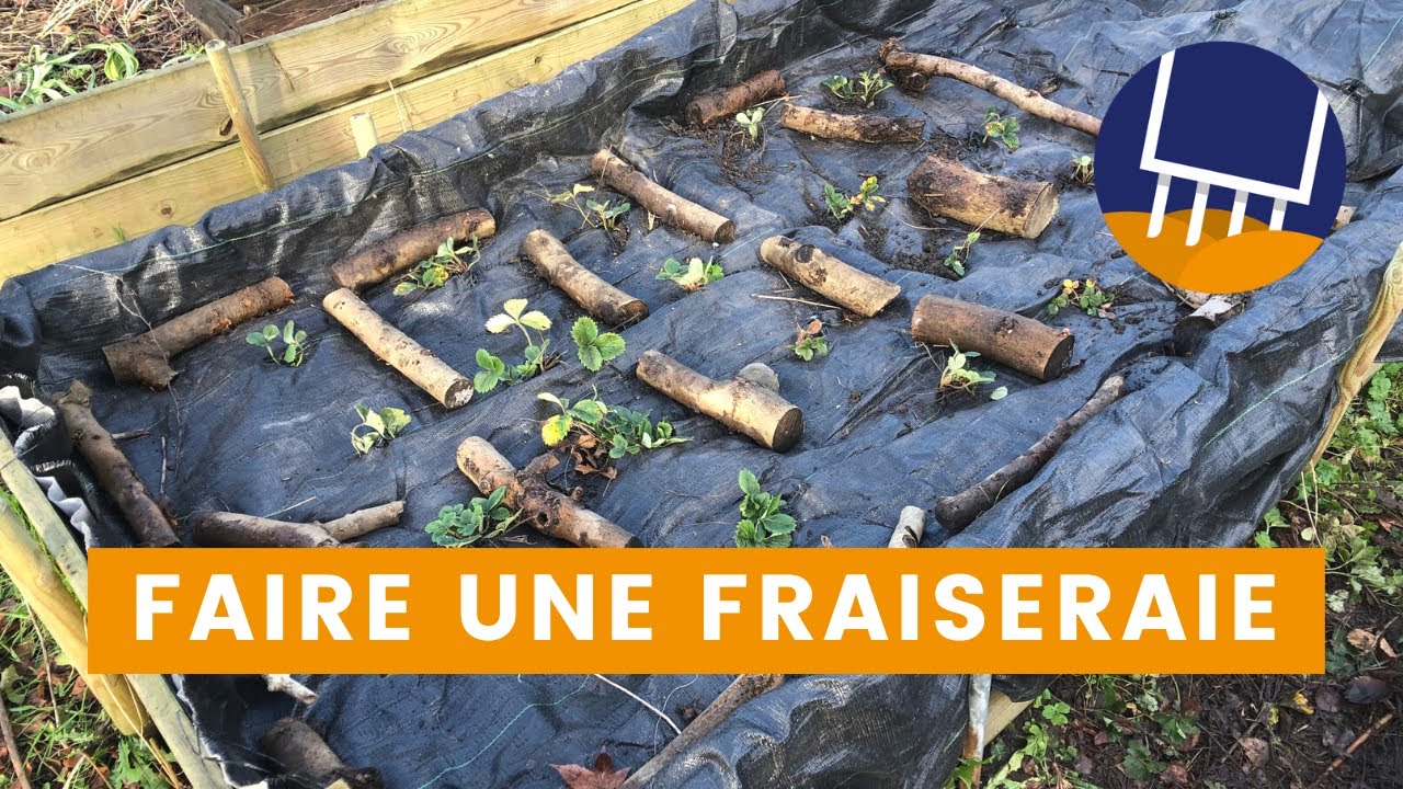 Cr&eacute;ez votre propre Fraiseraie !
