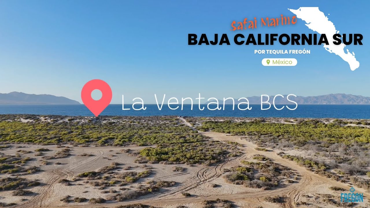 Safari Marino - La Ventana - Baja California Sur