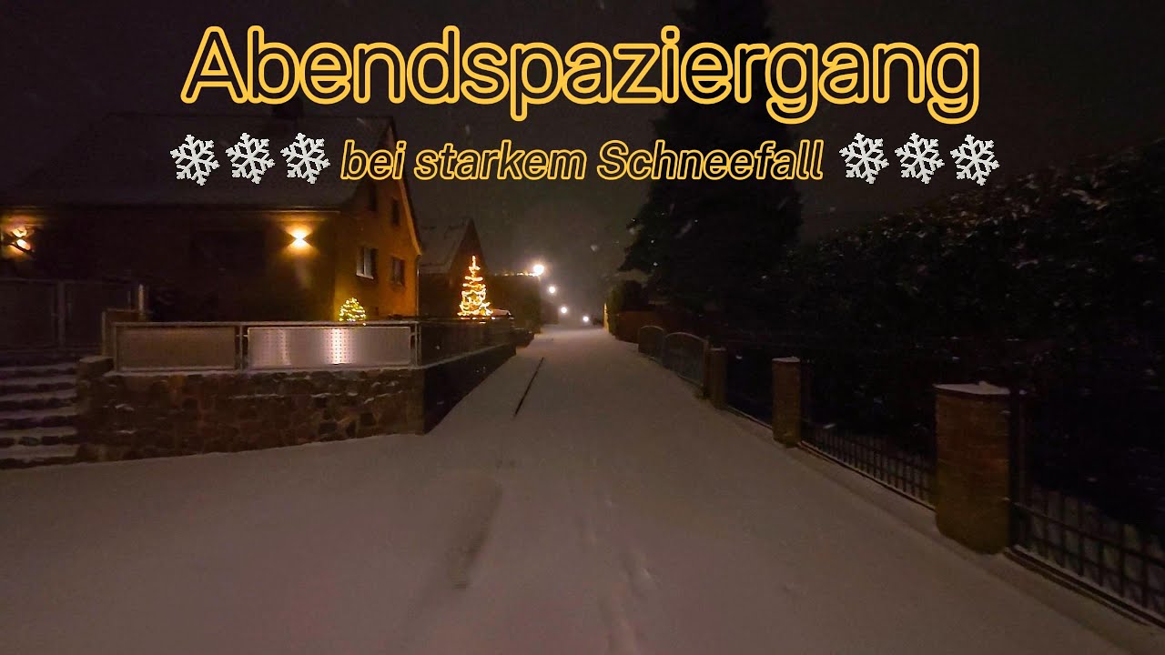 Starker Schneefall - Abendspaziergang 3.1.2026