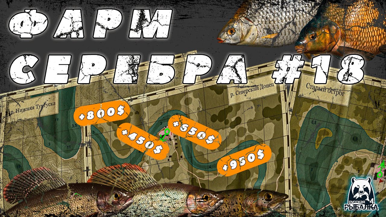 СВОДКА ПО ФАРМУ | 4 КООРДИНАТЫ НА ЛЕЩА | ТАРАНЬ | РАЗДАЧА НА ТУНГУСКЕ | КАРПЫ НА ЯНТАРНОМ