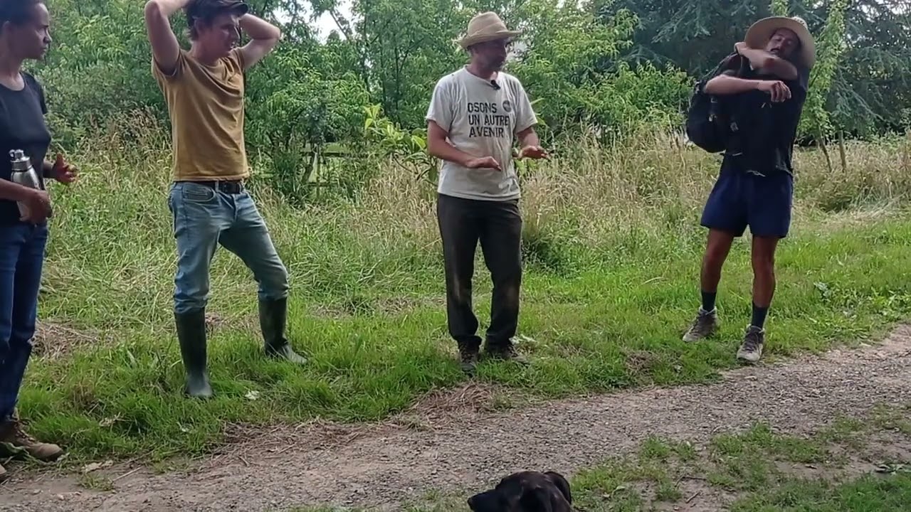 Stratégies de désherbage en maraichage bio - GAB 44