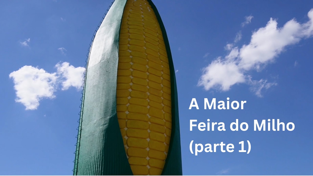Voltei para minha cidade natal na FEMI 🌽 ( Microfone roubado, família, X-polenta,  primeiro emprego)