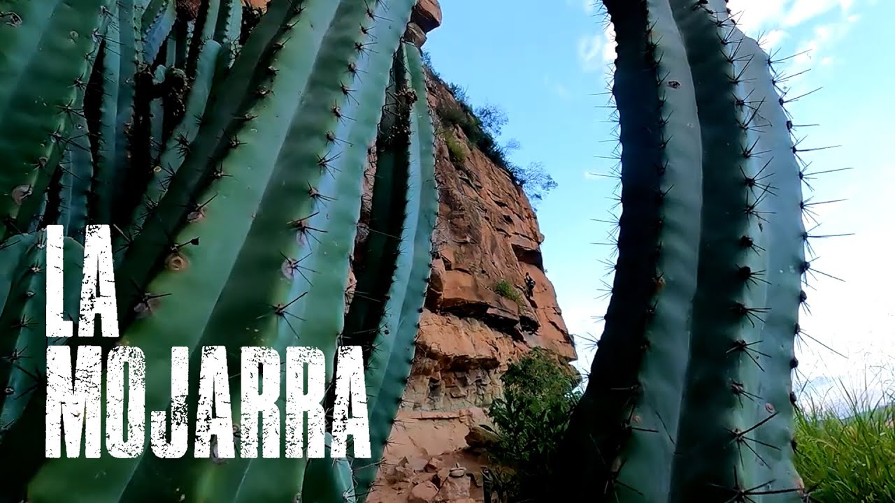 Escalando en la Mojarra | Santander | Colombia