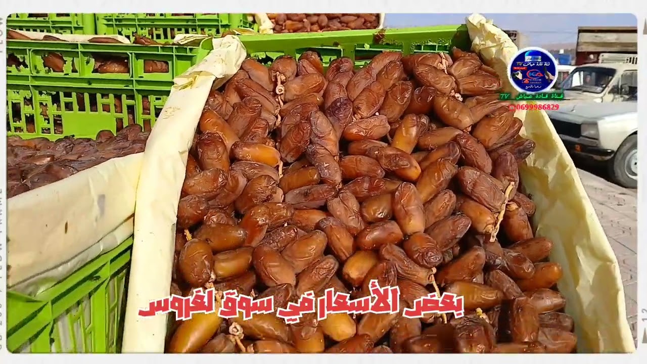 📺بعض الأسعار اليوم في سوق لغروس👇. الثلاثاء 2️⃣4️⃣ سبتمبر 2️⃣0️⃣2️⃣4️⃣.