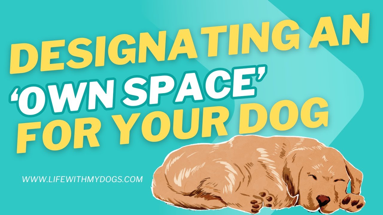 Designating an ‘Own Space’ for Your Dog