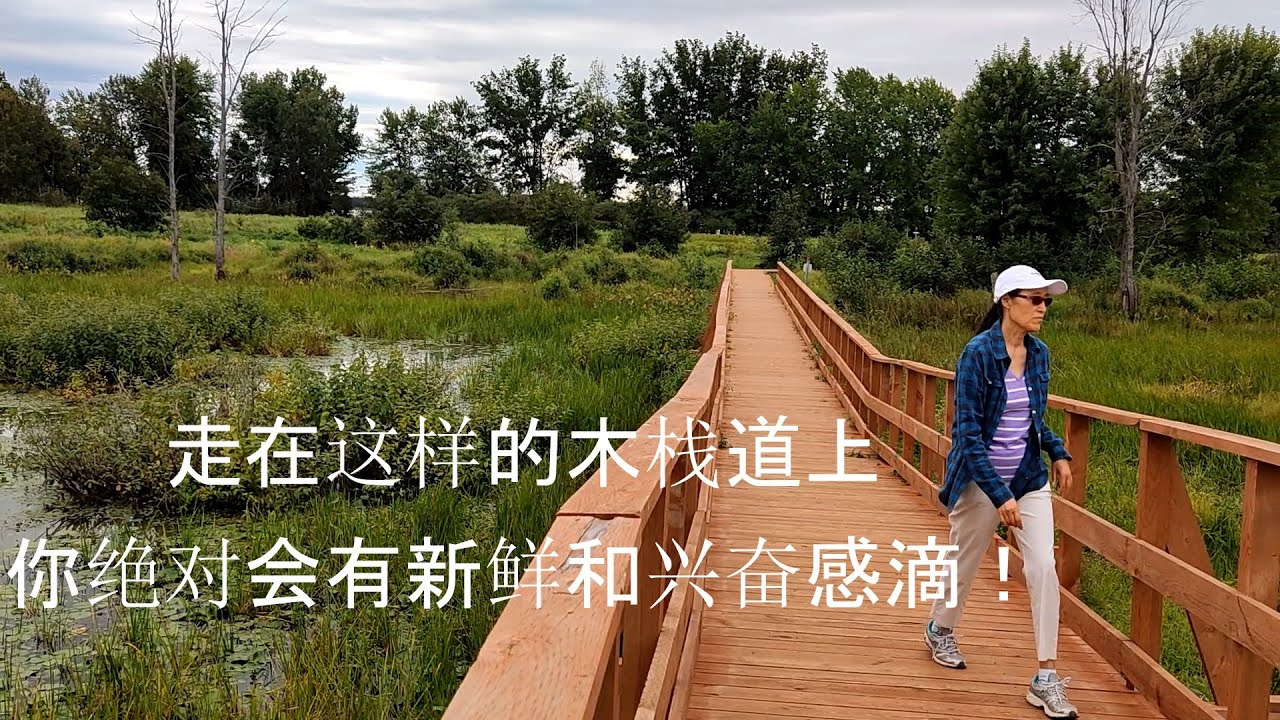 National Park Plaisance in Quebec. 魁北克普莱森斯国家公园之旅。地址在下方。