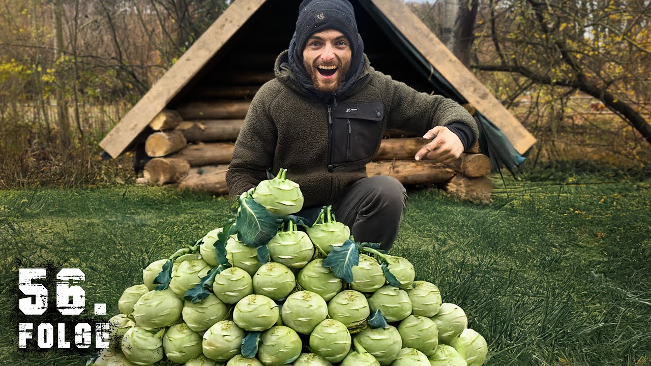 Die gro&szlig;e Kohlrabi ERNTE | Tag 56/100 autark