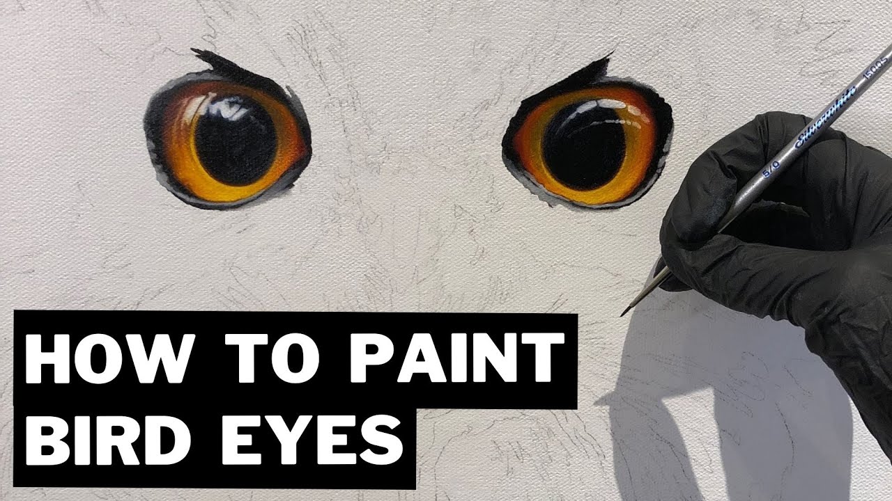 Oil Painting Tutorial - How to Paint Realistic Bird Eyes 