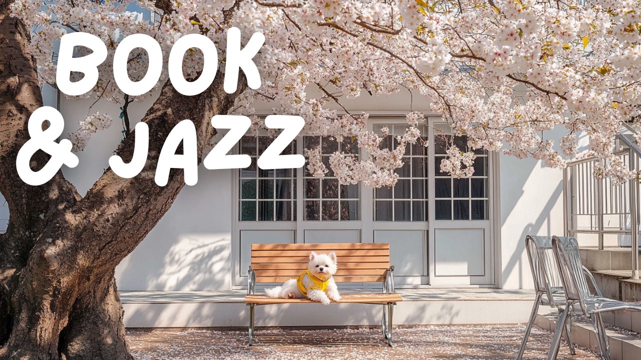 1시간 정도, 책장 넘기기 좋은 산뜻한 독서 재즈 | Book & Reading Jazz