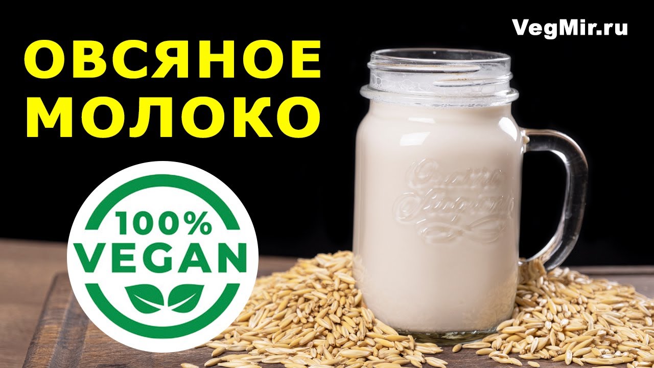 ОВСЯНОЕ МОЛОКО из цельного зерна – пп рецепт приготовления растительного молока в домашних условиях