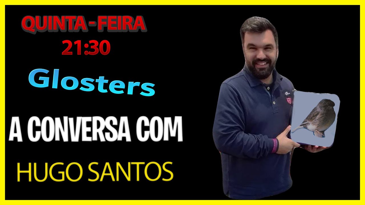 A conversa com Hugo Santos - Um dos melhores criadores Nacionais de Glosters