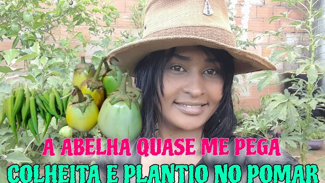 Colhendo Na horta orgânica pra doação,Plantio pra aumentar o pomar #familialimasimples#jardins#plant