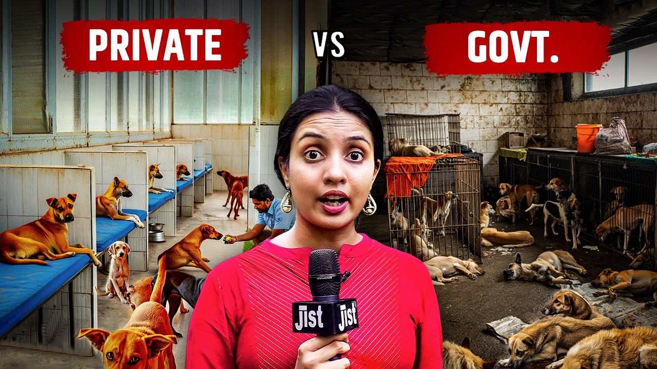 The Dark Side of DOG SHELTERS No One Wants To See ft. Sonal | Jist
