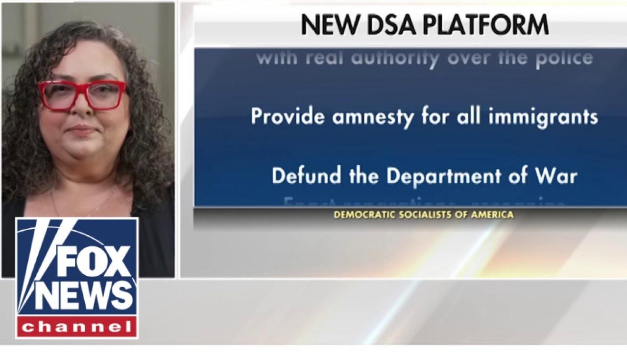 THIS IS INSANE': Hosts STUNNED by DSA official's radical ideas