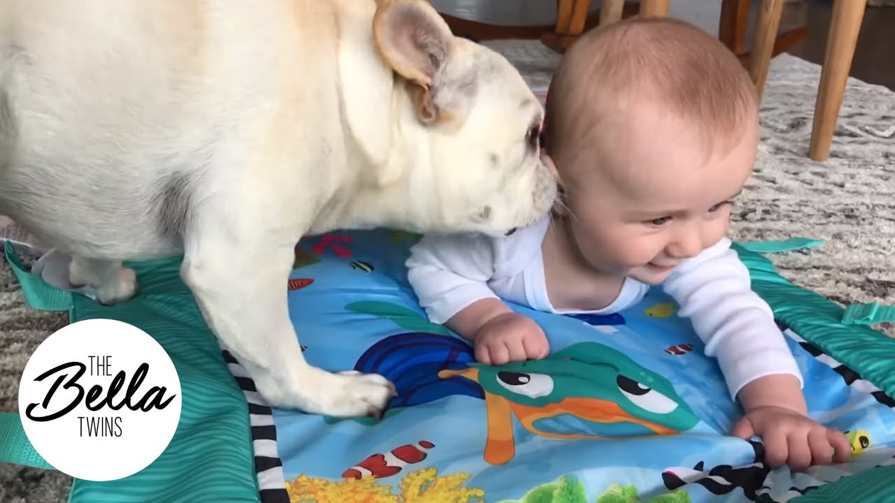 Birdie attempts to roll over and then giggles at Winston and Josie!
