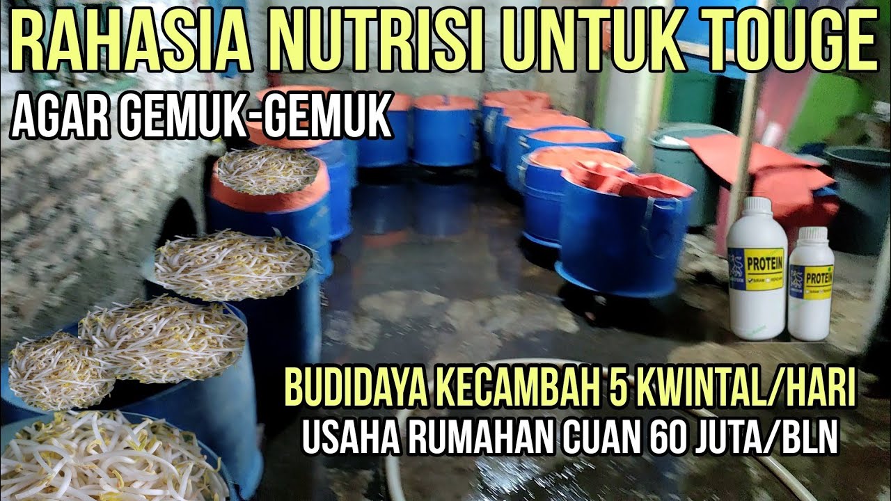 Usaha Rumahan Yang Menghasilkan Uang Setiap Hari