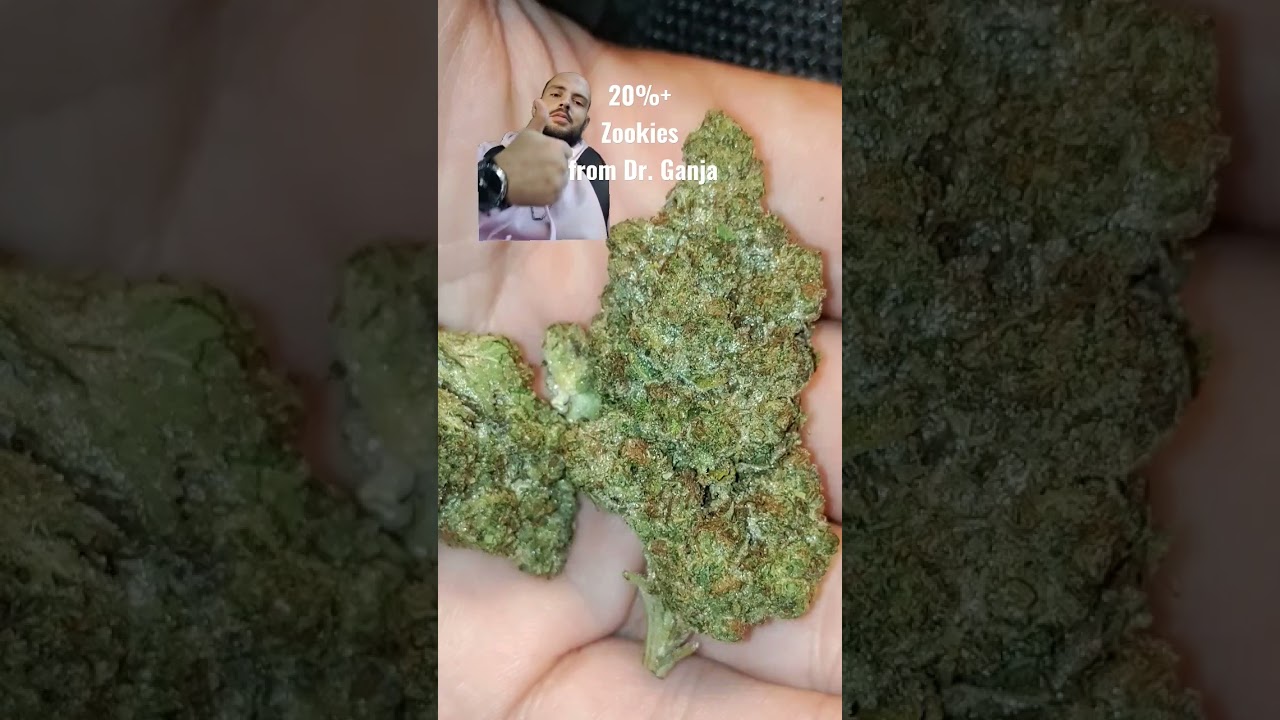 20+% Thca Zookies by Dr. Ganja