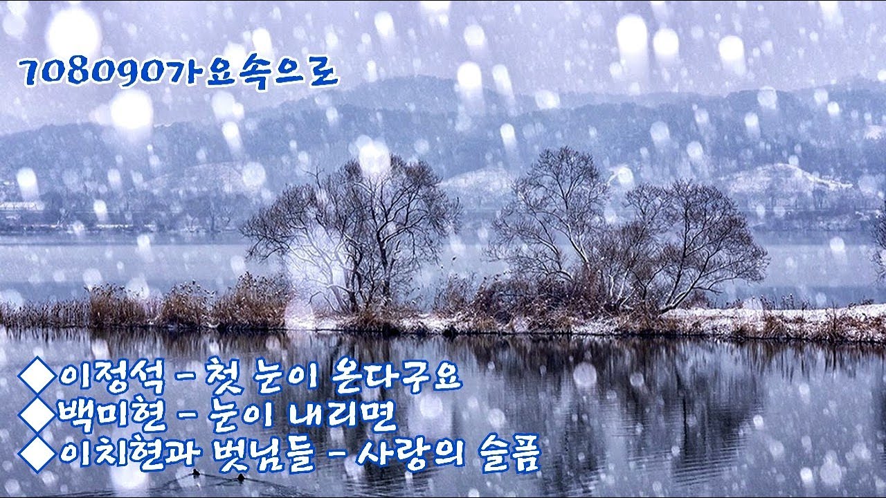 이정석(첫 눈이 온다구요), 백미현(눈이 내리면), 이치현과 벗님들(사랑의 슬픔)