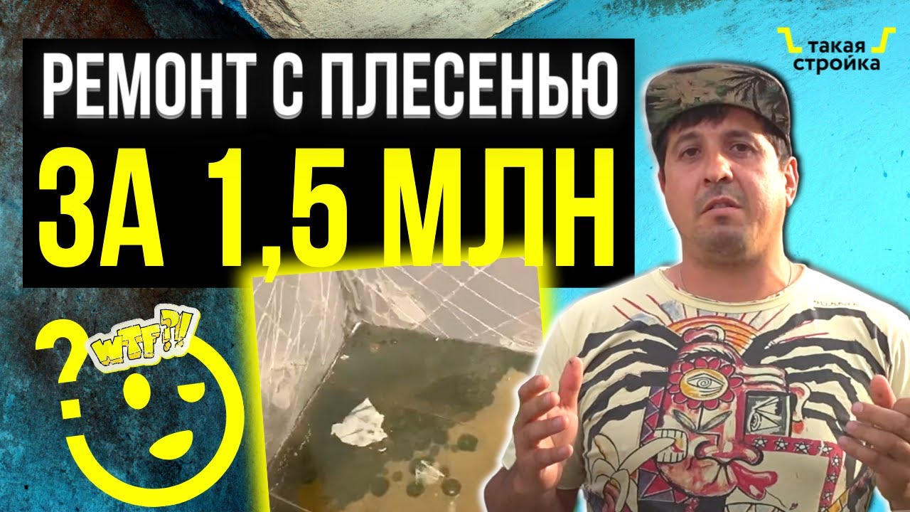 Плесень в квартире. Новый ремонт квартиры с грибком за 1,3  млн. рублей. Как убрать плесень со стен