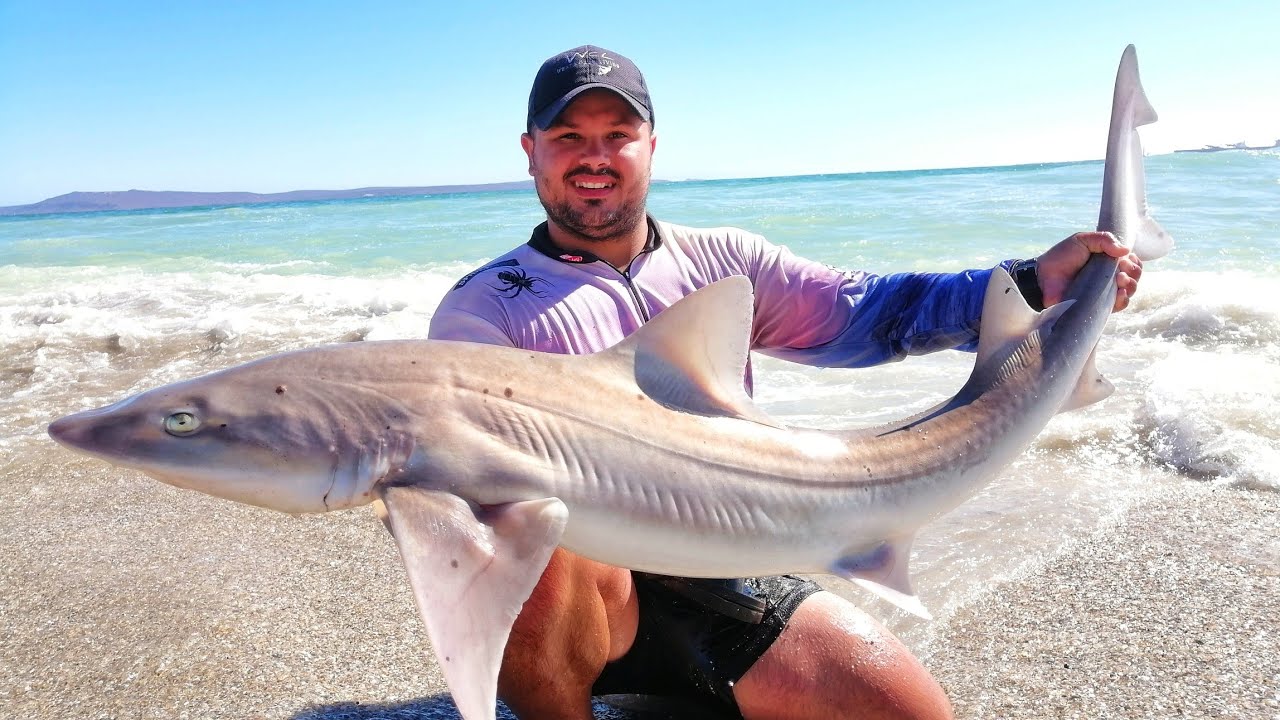 Ep 32 - Smoothhounds and West Coast Bronzies | Part 1 of 2