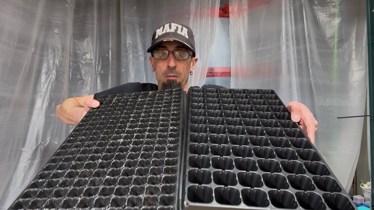 5 different ways to plant onion seeds.  Which one do I prefer??…