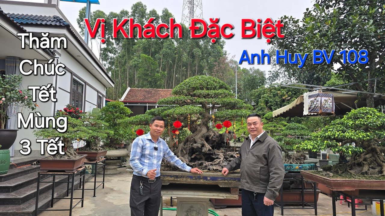 VỊ KHÁCH ĐẶC BIỆT anh HUY BV TRUNG ƯƠNG 108 thăm chúc tết vườn Bonsai ĐỨC HUY ngày đầu NĂM MỚI 2026.
