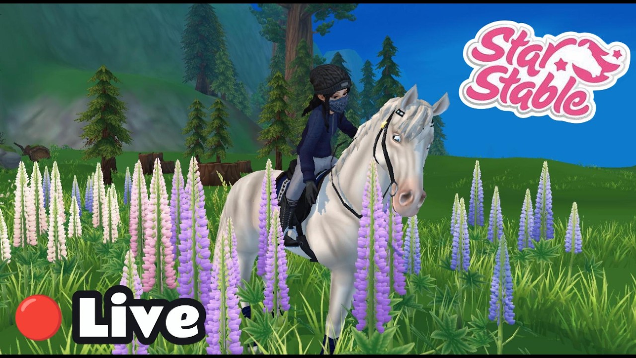 ✨Mein erster Livestream!✨Marchenghast, das NEUE Gebiet ist da!😍| SSO Livestream