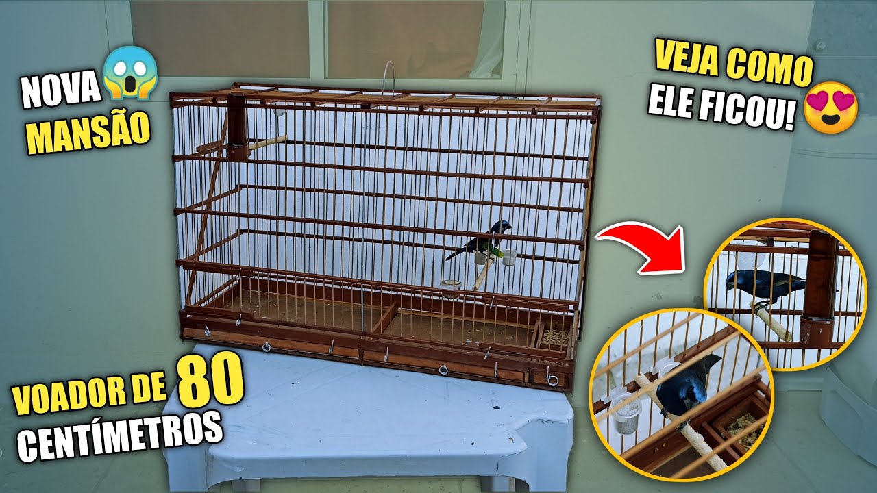 COLOQUEI IMPERADOR NO VOADOR DE 80 CM ! 😍😍