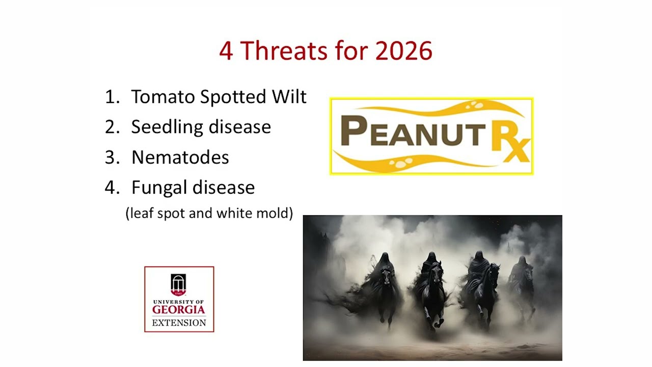 2026 Georgia Peanut Farm Show - UGA Production Seminar - Dr. Bob Kemerait