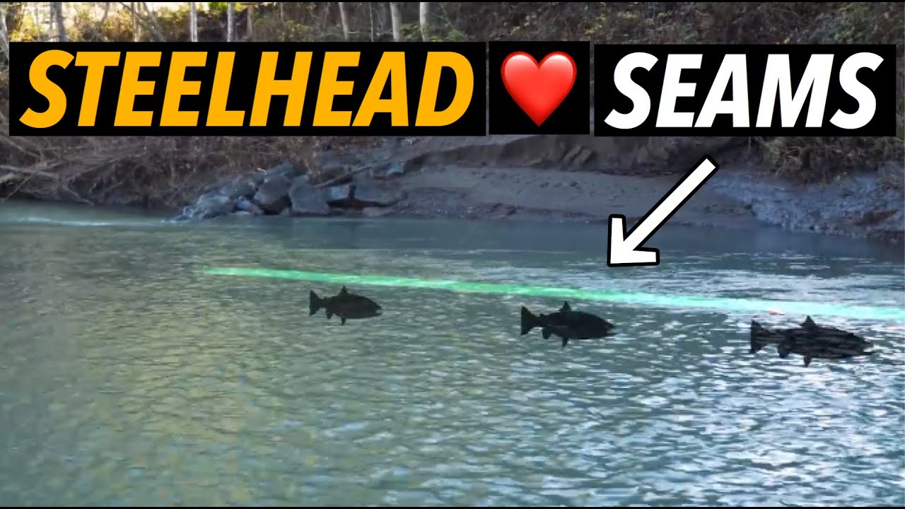 Steelhead Hot Spots: Seams