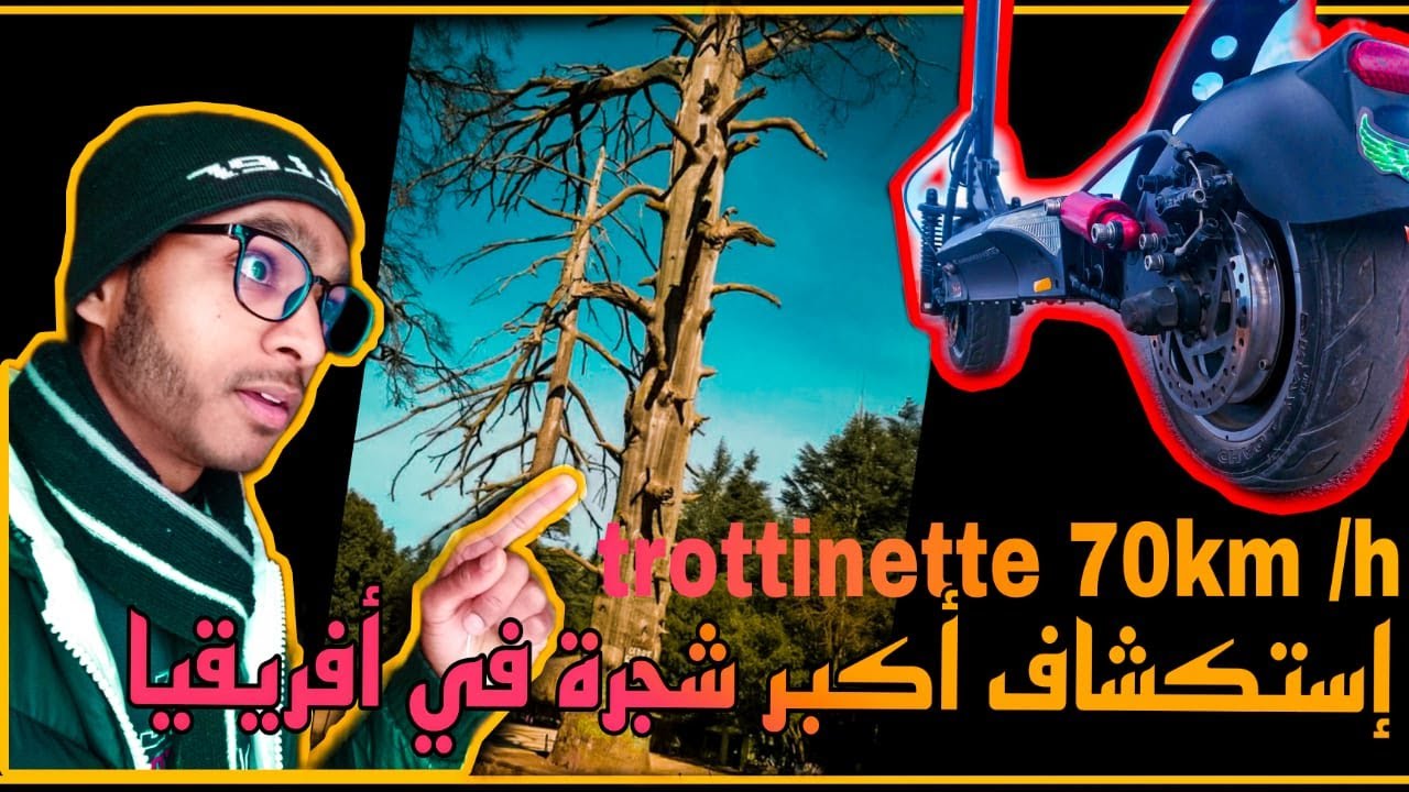 😱استكشاف اكبر شجرة في افريقيا🌲🐒, test trottinette smart gyro rockway pro  70  km \h
