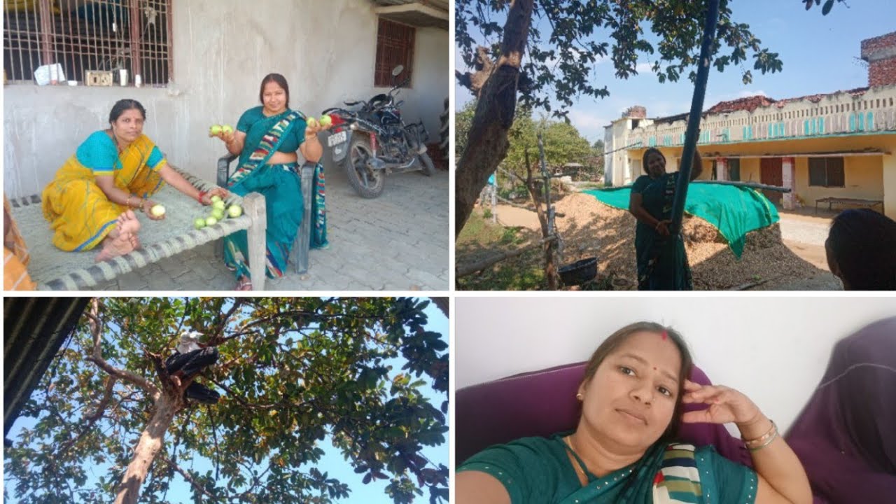 मायके की कुछ बात ही अलग होती है 🧕 आओ तोड़ लिए हम लोगअमरूद//vlog