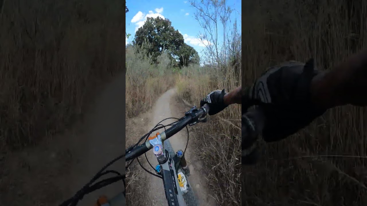 Bosque de la primavera 🤟🏽 MTB arenosas final