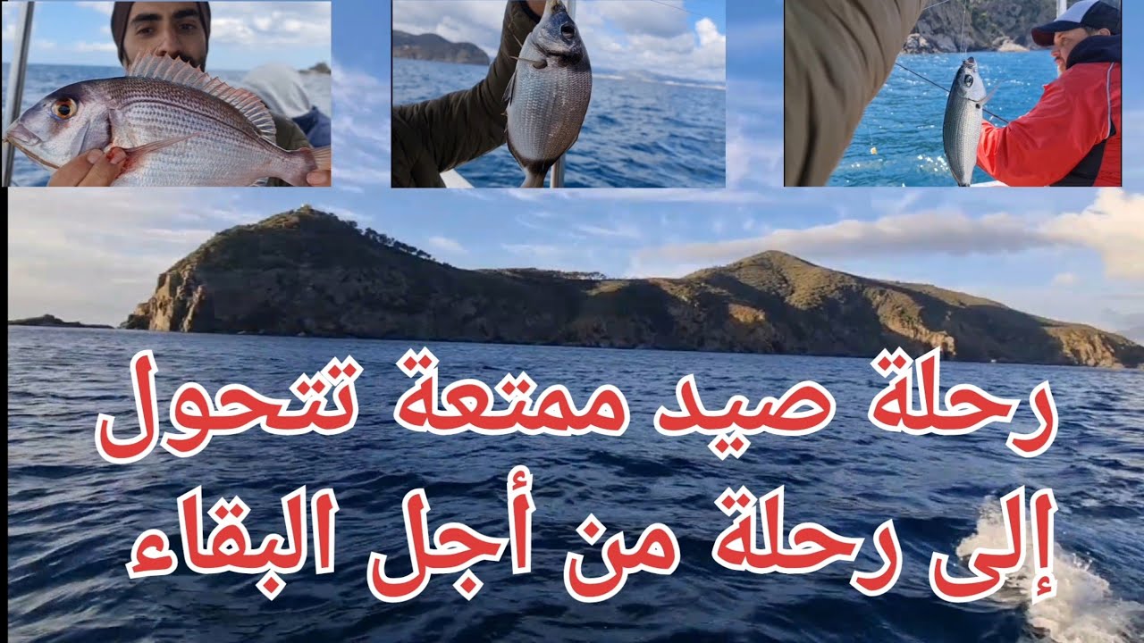 رحلة صيد بالقارب إنطلاقا من ميناء المضيق
