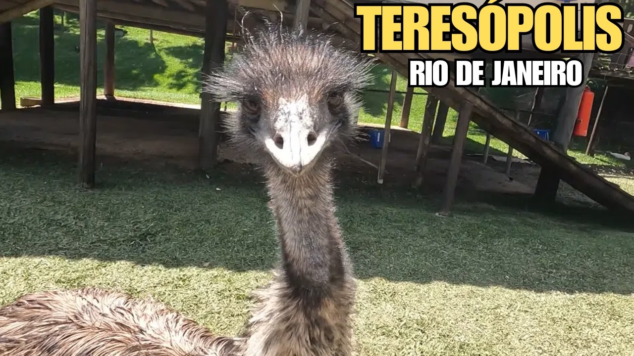 O que Aconteceu comigo nesse RESORT em Teresopolis? Municipio do Estado rio de janeiro.