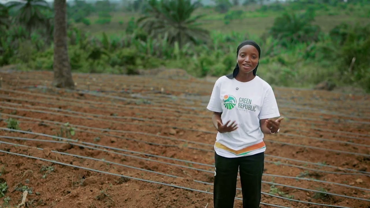 GREEN REPUBLIC FARMS | LAGOS AGRITHON 2024 BENEFICIARY | M&E