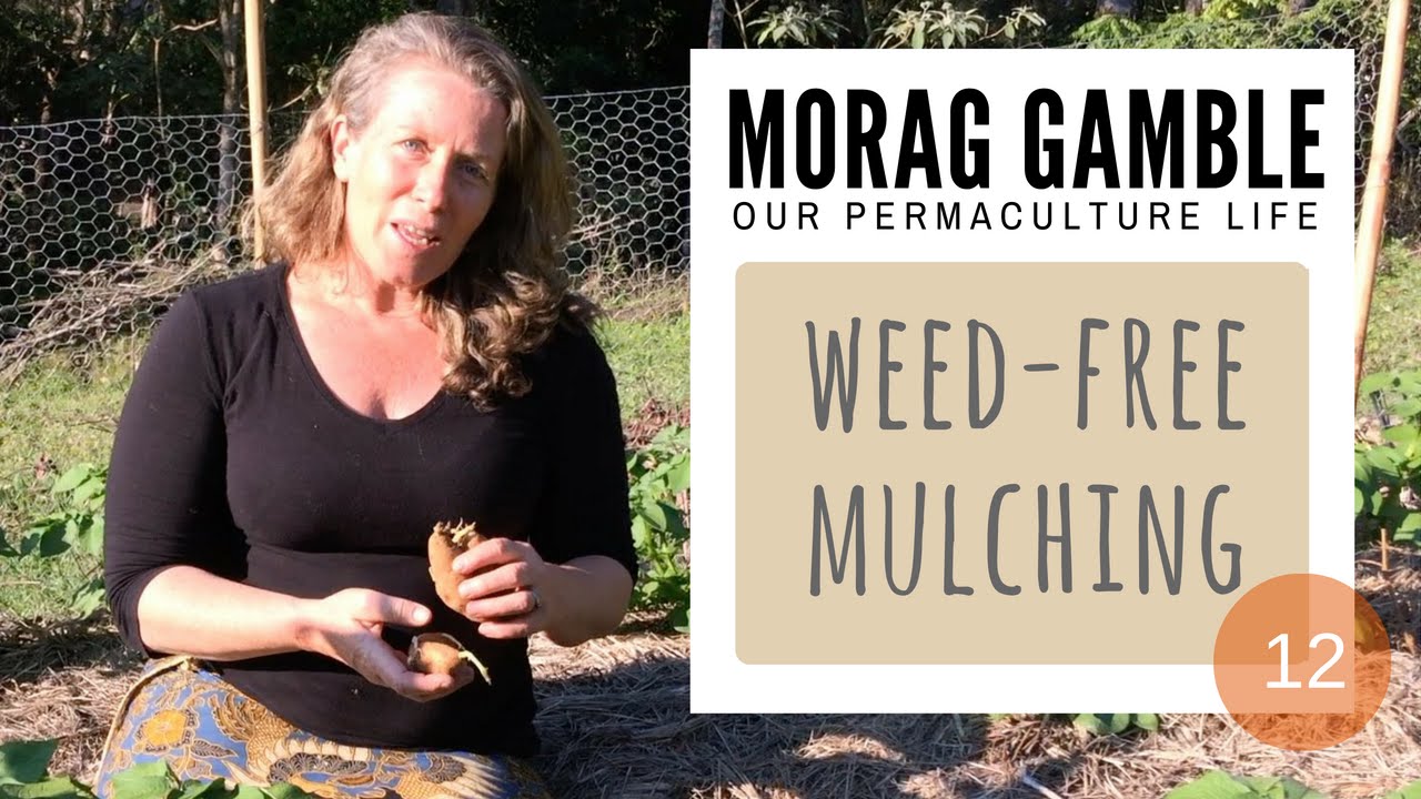 Weed-Free Mulching. Film #12 with Morag Gamble: Our Permaculture Life